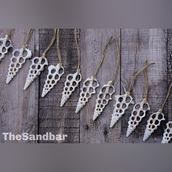 Sliced Seashell Ornaments Gift Set of 8 Strands Natural Wedding Favor TheSandbar - Picture 4 of 4
